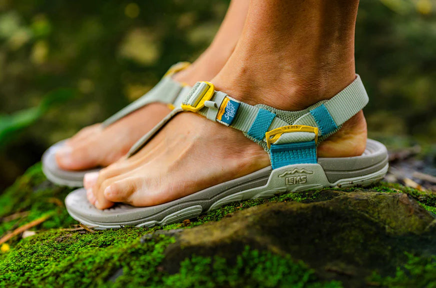 Miesten Switchback Sandal Knit - Dew