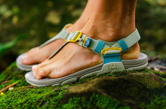 Miesten Switchback Sandal Knit - Dew